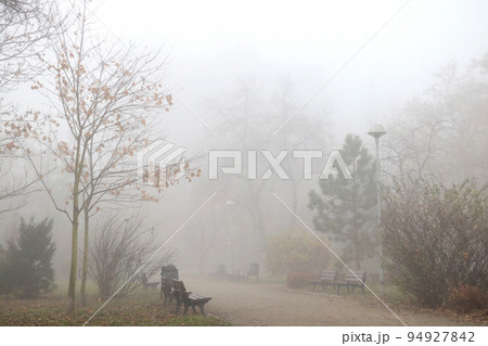 Foggy morning in the park. Autumn background in the city. Foggy morning in the park. Autumn background in the city. 94927842