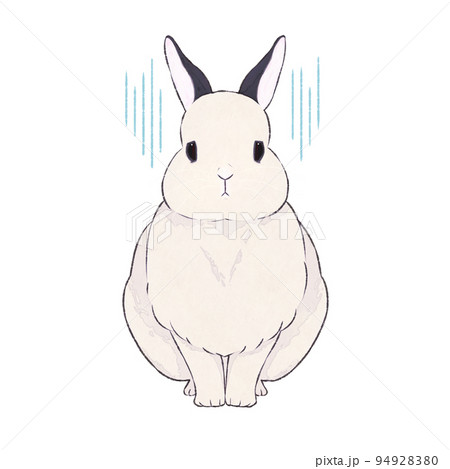 うさぎ ドワーフホト 表情(哀) うさぎ ドワーフホト 表情(哀) 94928380