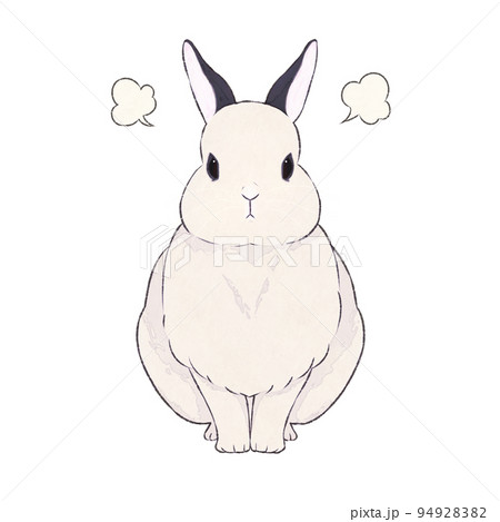 うさぎ　ドワーフホト　表情（怒） 94928382