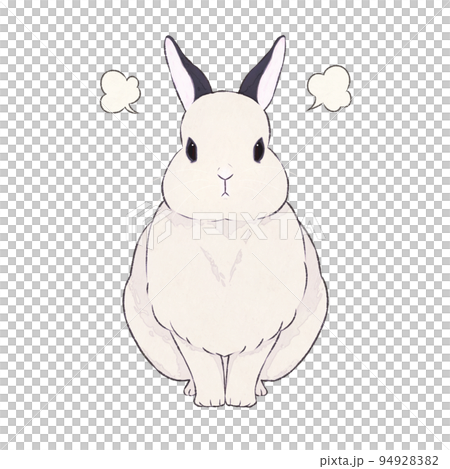 うさぎ　ドワーフホト　表情（怒） 94928382