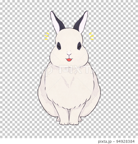うさぎ　ドワーフホト　表情（喜） 94928384