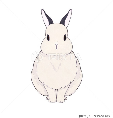 うさぎ　ドワーフホト　表情（無） 94928385