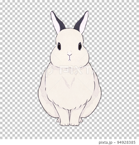 うさぎ　ドワーフホト　表情（無） 94928385