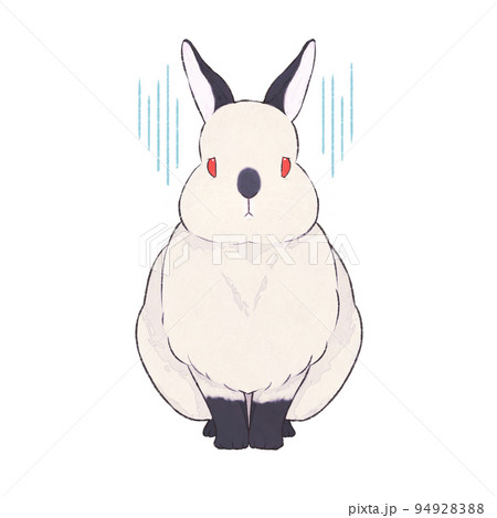 うさぎ　ヒマラヤン　表情（哀） 94928388