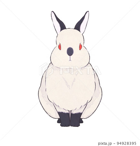 うさぎ ヒマラヤン 表情(無) うさぎ ヒマラヤン 表情(無) 94928395