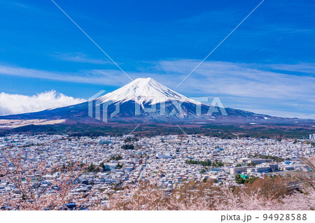 （山梨県）桜咲く新倉山浅間公園から望む富士山 94928588