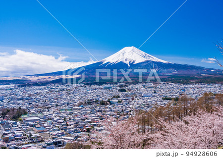 （山梨県）桜咲く新倉山浅間公園から望む富士山 94928606