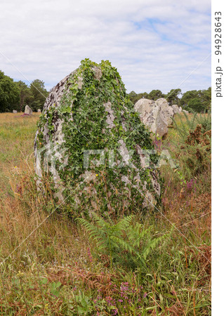 Alignment of Kerlescan, megalithic monuments in Carnac 94928643