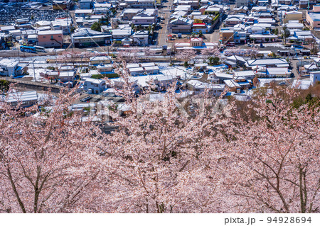 (山梨県)桜咲く新倉山浅間公園から見る富士吉田市の街並み (山梨県)桜咲く新倉山浅間公園から見る富士吉田市の街並み 94928694