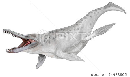 クロノサウルス クロノスのトカゲ プリオサウルス亜目中最大級の海生爬虫類のイラスト素材 9496