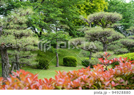 国宝姫路城を囲む初夏の日本庭園 94928880