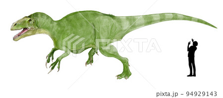 シアッツ・ミーケロルム　巨大なメガロサウルス類 94929143