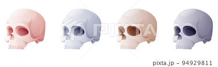 Set of skulls on a white background. Cartoon vector illustration for Halloween holiday. Terrible and terrible holiday symbol. Set of skulls on a white background. Cartoon vector illustration for Halloween holiday. Terrible and terrible holiday symbol. 94929811