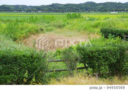 除草剤を散布した範囲と散布してない範囲の差異が明確に表れている風景 除草剤を散布した範囲と散布してない範囲の差異が明確に表れている風景 94930569