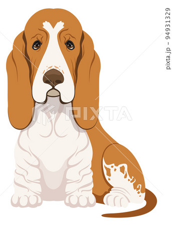 Basset hound sitting. Funny dog breed icon 94931329