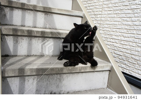 足を舐めて毛づくろいする黒猫の写真素材 [94931641] - PIXTA