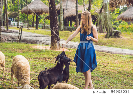 Attractive young woman feeding baby goats Attractive young woman feeding baby goats 94932052