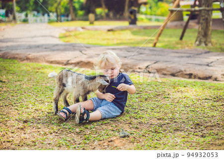 Small cute boy is feeding a small newborn goat Small cute boy is feeding a small newborn goat 94932053