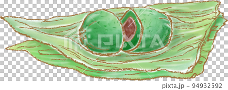 Bamboo dumpling _ open state _ cross section 94932592