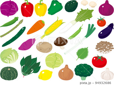 シンプルでフレッシュな野菜のイラストセット 94932686