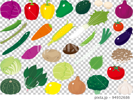 シンプルでフレッシュな野菜のイラストセット 94932686