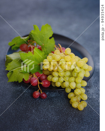 Vineyard Harvest in autumn season Vineyard Harvest in autumn season 94935414