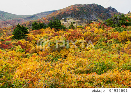 岩手県 栗駒国定公園 錦秋の栗駒山 須川登山道 名残ケ原 岩手県 栗駒国定公園 錦秋の栗駒山 須川登山道 名残ケ原 94935691