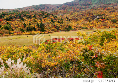 岩手県 栗駒国定公園 錦秋の栗駒山 須川登山道 名残ケ原 岩手県 栗駒国定公園 錦秋の栗駒山 須川登山道 名残ケ原 94935693