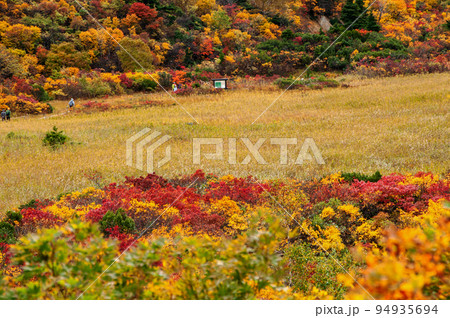 岩手県 栗駒国定公園 錦秋の栗駒山 須川登山道 名残ケ原 岩手県 栗駒国定公園 錦秋の栗駒山 須川登山道 名残ケ原 94935694