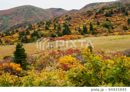 岩手県　栗駒国定公園　錦秋の栗駒山　須川登山道　名残ケ原 94935695