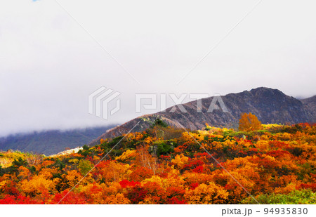 岩手県　栗駒国定公園　錦秋の栗駒山　須川高原温泉 94935830