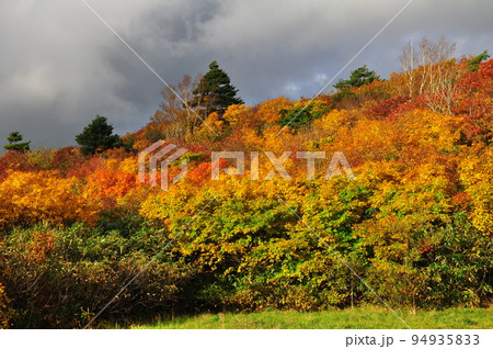 岩手県　栗駒国定公園　錦秋の栗駒山　須川高原温泉 94935833