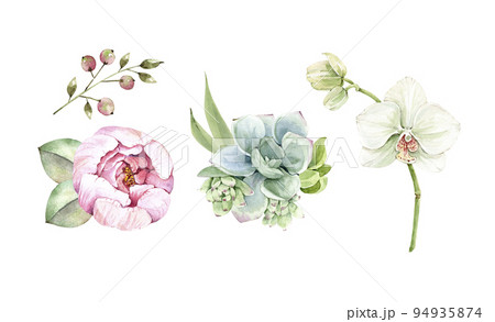 set of watercolor illustrations of flowers on a white background. for design and invitations. set of watercolor illustrations of flowers on a white background. for design and invitations. 94935874