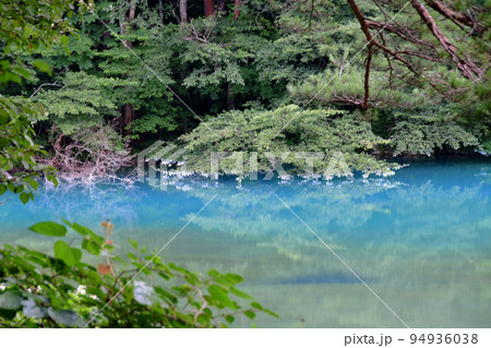 福島県　磐梯山　裏磐梯　五色沼　湖沼群　自然探勝路　青沼 94936038