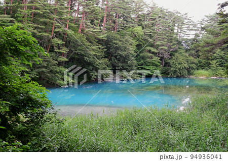 福島県　磐梯山　裏磐梯　五色沼　湖沼群　自然探勝路　青沼 94936041
