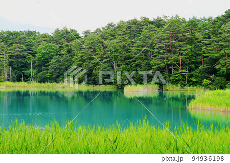 福島県 磐梯山 裏磐梯 五色沼 湖沼群 自然探勝路 弁天沼 福島県 磐梯山 裏磐梯 五色沼 湖沼群 自然探勝路 弁天沼 94936198