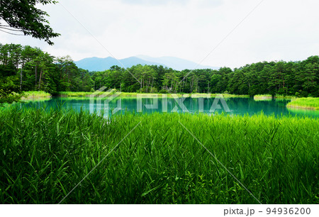 福島県 磐梯山 裏磐梯 五色沼 湖沼群 自然探勝路 弁天沼 福島県 磐梯山 裏磐梯 五色沼 湖沼群 自然探勝路 弁天沼 94936200