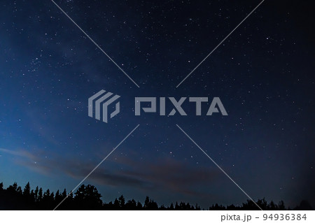 Night starry sky over forest. Tree silhouettes against  backdrop of stars. 94936384