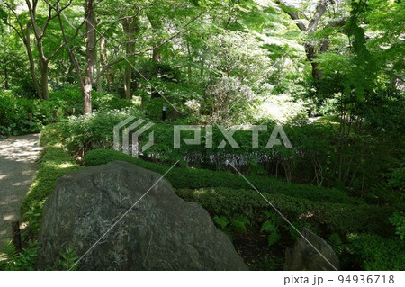 御殿山庭園滝 東京都品川区 日本庭園 茶室 池 樹林 林 花 散策 24時間無料 令和3年7月 御殿山庭園滝 東京都品川区 日本庭園 茶室 池 樹林 林 花 散策 24時間無料 令和3年7月 94936718