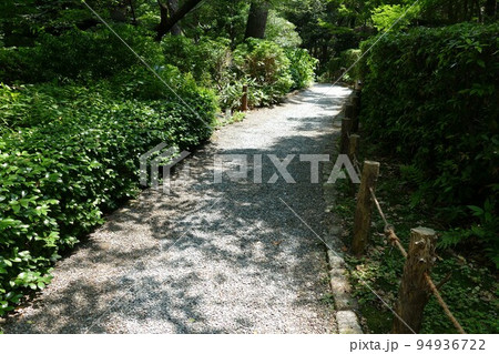 御殿山庭園滝 東京都品川区 日本庭園 茶室 池 樹林 林 花 散策 24時間無料 令和3年7月 御殿山庭園滝 東京都品川区 日本庭園 茶室 池 樹林 林 花 散策 24時間無料 令和3年7月 94936722