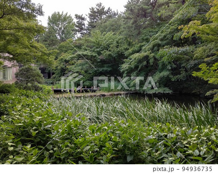 御殿山庭園滝 東京都品川区 日本庭園 茶室 池 樹林 林 花 散策 24時間無料 令和3年7月 御殿山庭園滝 東京都品川区 日本庭園 茶室 池 樹林 林 花 散策 24時間無料 令和3年7月 94936735