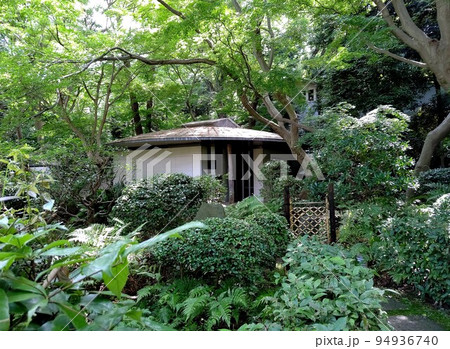 御殿山庭園滝 東京都品川区 日本庭園 茶室 池 樹林 林 花 散策 24時間無料 令和3年7月 御殿山庭園滝 東京都品川区 日本庭園 茶室 池 樹林 林 花 散策 24時間無料 令和3年7月 94936740