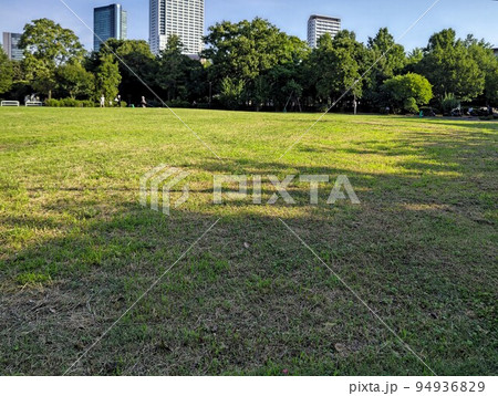 東京都目黒区東山三丁目 東山公園 東急田園都市線池尻大橋駅 24時間開園 草はら広場、様々な樹木 東京都目黒区東山三丁目 東山公園 東急田園都市線池尻大橋駅 24時間開園 草はら広場、様々な樹木 94936829