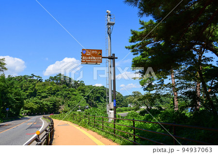 宮城県　松島町　松島湾　国道45号線沿い遊歩道の津波浸水標識 94937063