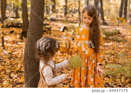 Happy children playing in beautiful autumn park on warm sunny fall day. Little sisters play with golden maple leaves - fun, leisure and childhood concept Happy children playing in beautiful autumn park on warm sunny fall day. Little sisters play with golden maple leaves - fun, leisure and childhood concept 94937579