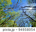 新緑の向こう側は 94938054