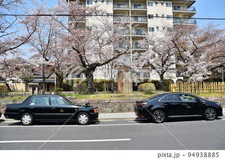 日本の京都府の京都市 銀閣寺近くの道路に停車中のタクシ― 満開の桜と古い石碑 敷地内のマンション 日本の京都府の京都市 銀閣寺近くの道路に停車中のタクシ― 満開の桜と古い石碑 敷地内のマンション 94938885