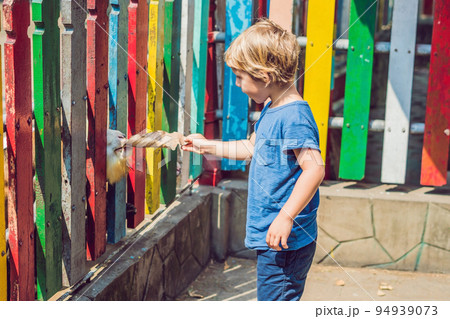 The boy feeds goats in the zoo The boy feeds goats in the zoo 94939073
