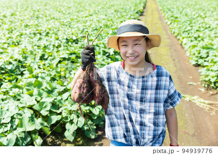 さつま芋畑で芋掘りを楽しむ子供 94939776