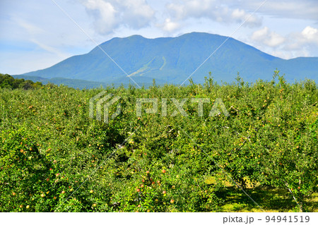 飯綱町より飯縄山／飯綱山、霊仙寺山方面を望む(長野県飯綱町)【2022.9】 94941519